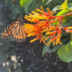 Meet your Posher, Posh